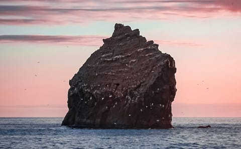 Private Tour of Reykjanes Peninsula Geopark from Hafnir