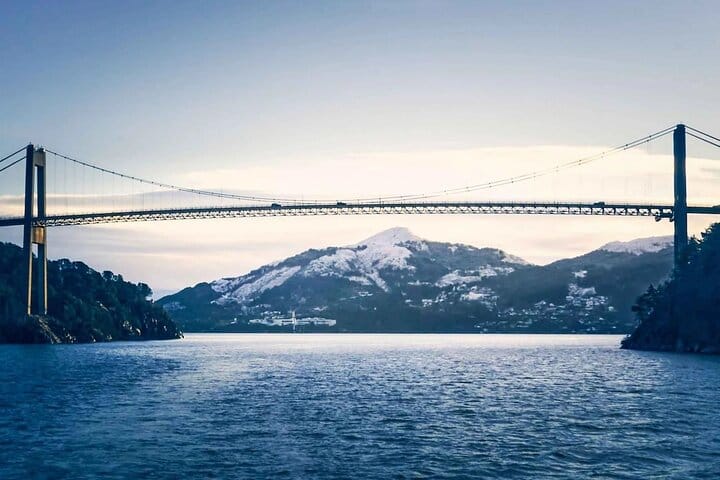 Alverstraumen RIB Safari