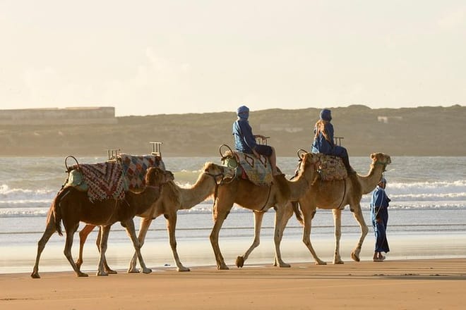 Mogador Camel Expedition Ecotour | 1 Day : Private & Luxury 3