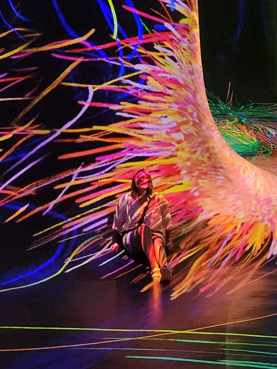 Abu Dhabi: TeamLab Phenomena – A Universe of Living Art!