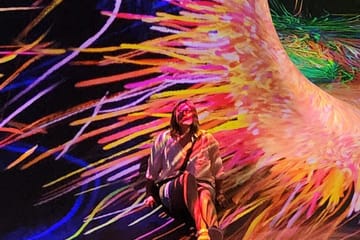 Explore TeamLab Phenomena: Immersive Art Experience in Abu Dhabi