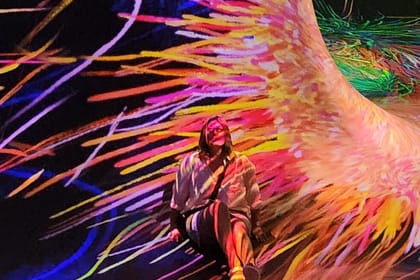 Abu Dhabi: TeamLab Phenomena – A Universe of Living Art!