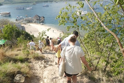 Full Day Komodo Island Hopping Tour from Labuan Bajo