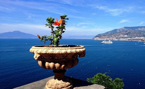 Cultural Walking Tour of Historic Sorrento, Italy