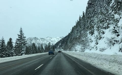 Small Group Day Trip to Mount Saint Helens from Seattle