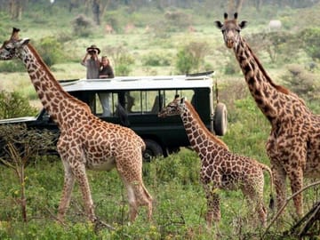 2-Day Solio Ranch Safari from Nairobi in 4x4 Land Cruiser