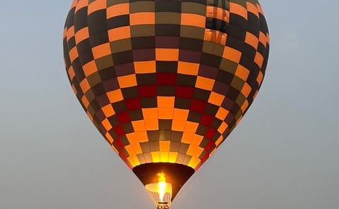 Hot Air Balloon Adventure Over Marrakech Countryside