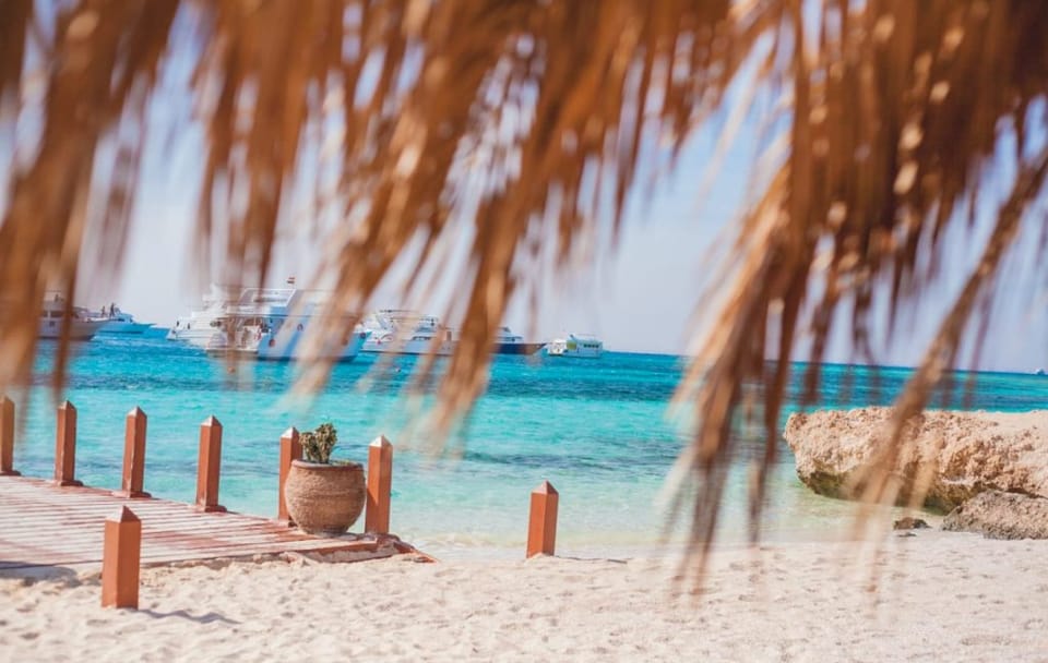 Snorkeling and Diving Day Trip to Ozirea Island, Egypt