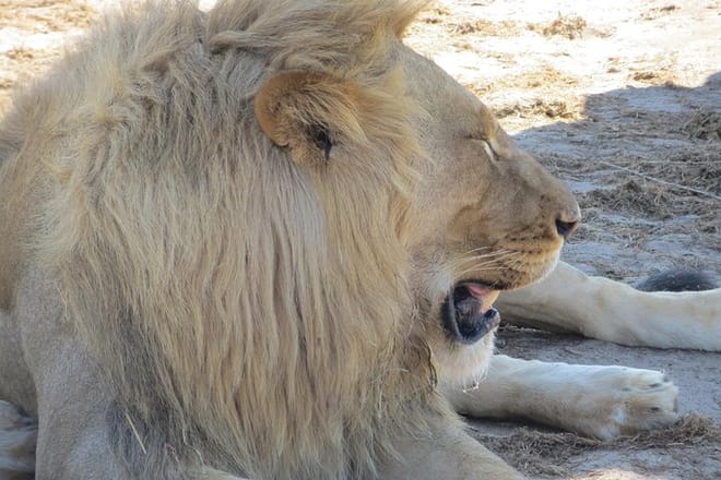 Hwange and Matopo National Park 5 nights Safari Tour 6