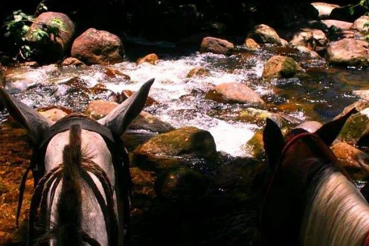 Horseback riding in the Atlantic forest BY PARATY TOURS 10