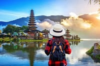 Bali Highlights Customizable Private Day Tour  7