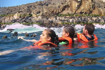 Lim-10 : Swimming with Sea Lions in Islas Palomino Lima