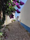 Private Fátima, Nazaré & Óbidos from Lisbon 5