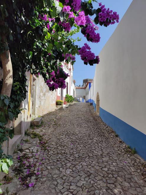Private Fátima, Nazaré & Óbidos from Lisbon photo 5