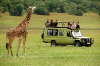 Tsavo national park