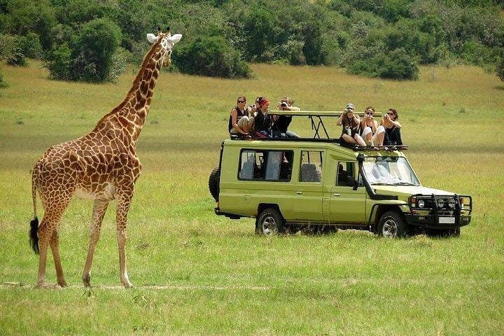 Tsavo national park
