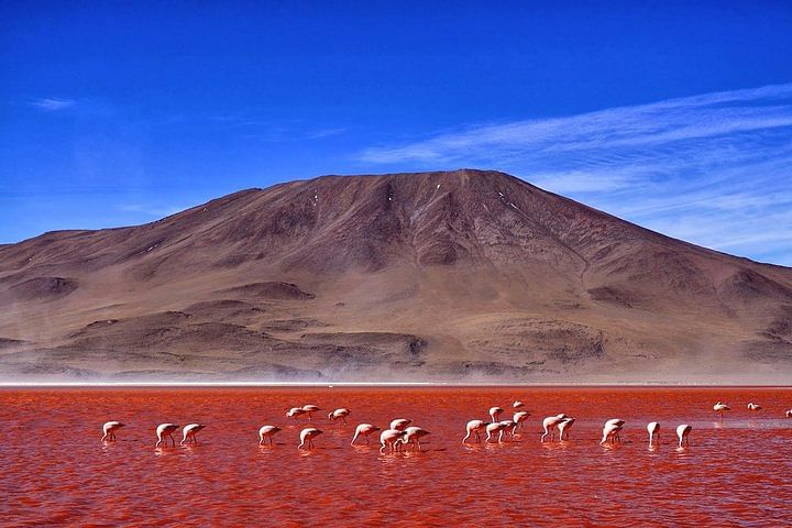 Discover Atacama & Uyuni: Breathtaking Salt Flats Adventure