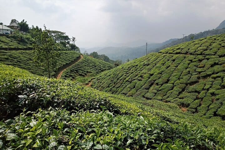 Ancient Caves, Architecture, Hill & Backwater