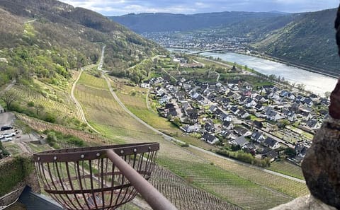 Private Thurant Castle Tour with Transport from Koblenz