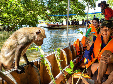 Private Tour: Maeklong Train Market, Floating Market and Klong Khon Monkey