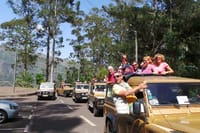 Jeep Tour