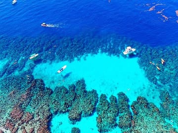 Snorkeling at West Bay Beach and City Tour in Coxen Hole