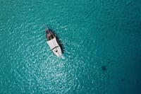 Mnemba Island Private Boat – Snorkel & Dolphin Adventure 9
