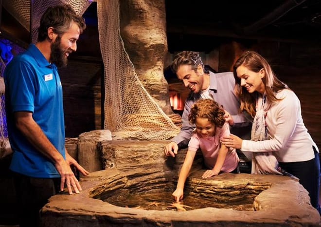SEA LIFE London Aquarium Advance Ticket photo 2