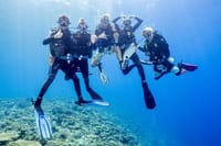 Diving and Snorkeling Day Trip By VIP Boat From Hurghada 3