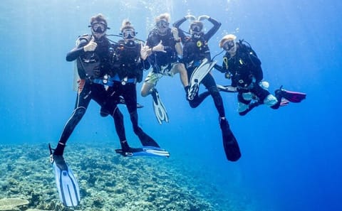 Diving and Snorkeling Day Trip from Hurghada, Egypt