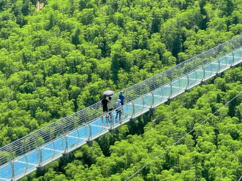 Shanghai: Crouching Tiger Bamboo Forest & White Tea Trip