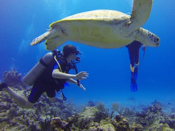 Par-05 : Sail on a Catamaran – Discover Paracas Bay