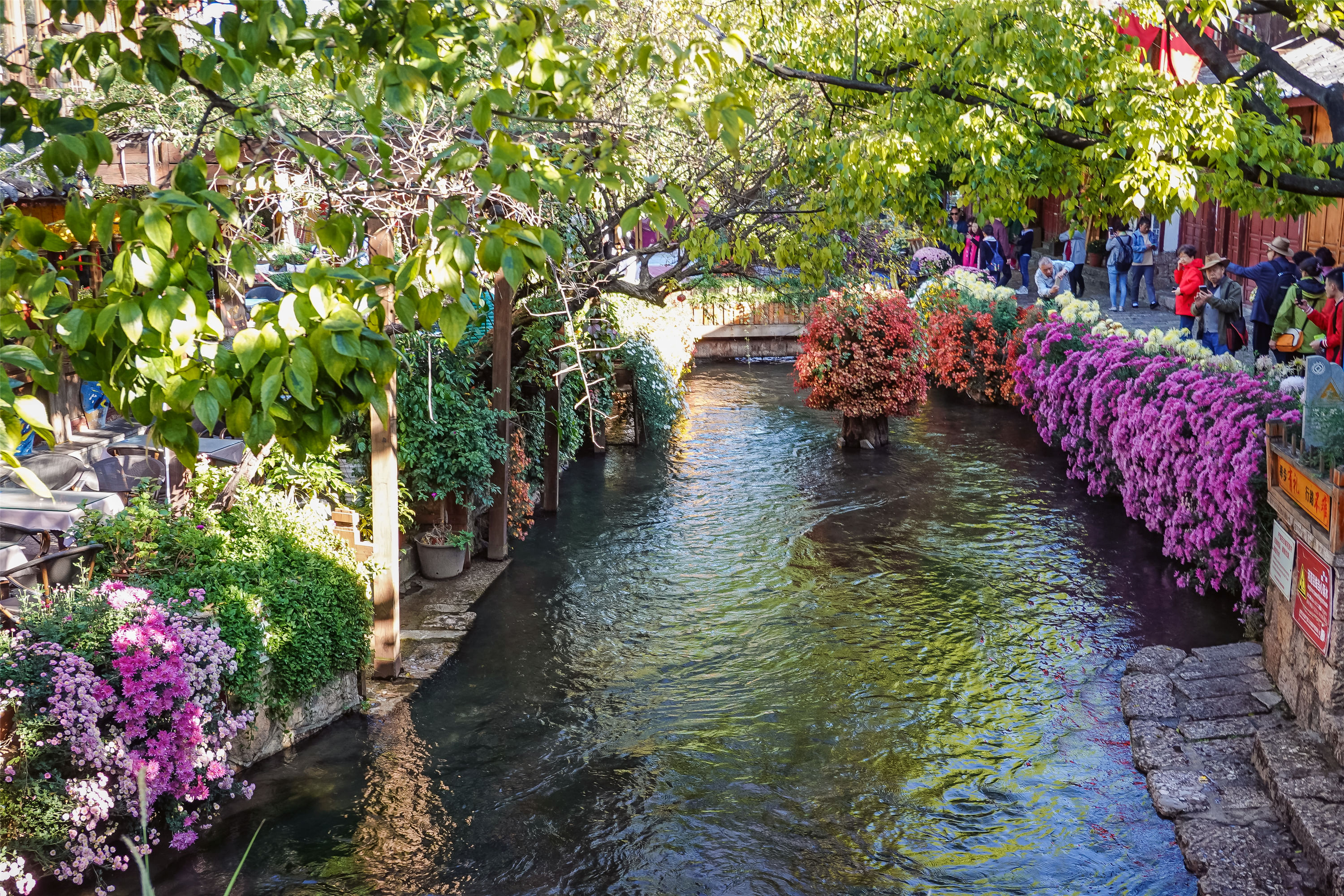 small bridge and flowing water
