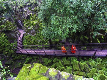 Best jungle Temple Tour