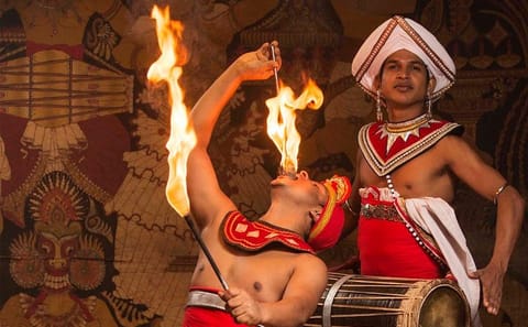 Adventure Of The Last Kingdom All Inclusive Show Excursion