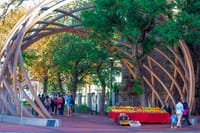 Cape Town City and Table Mountain half day tour 5