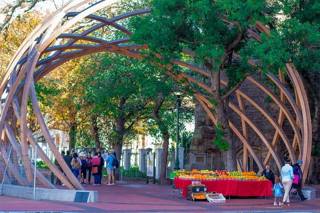 Cape town City and Table Mountain Half Day guided Tour 5