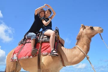 One Hour Camel Riding Adventure With transfer From Hurghada