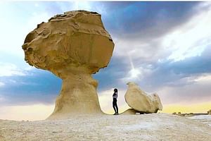 Private One Day tour to the White Desert from bahariya oasis 