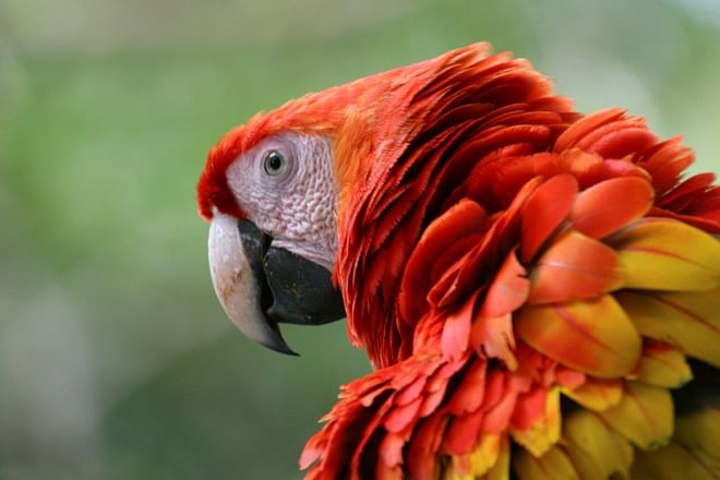 Romantic Adventure in Costa Rica, Self-Drive (On Request)