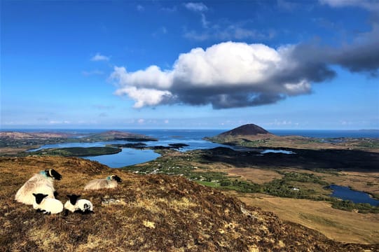 Hike in Connemara National Park. Galway. Guided.
