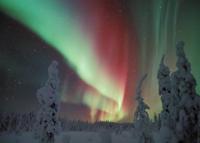 Searching for the Auroras