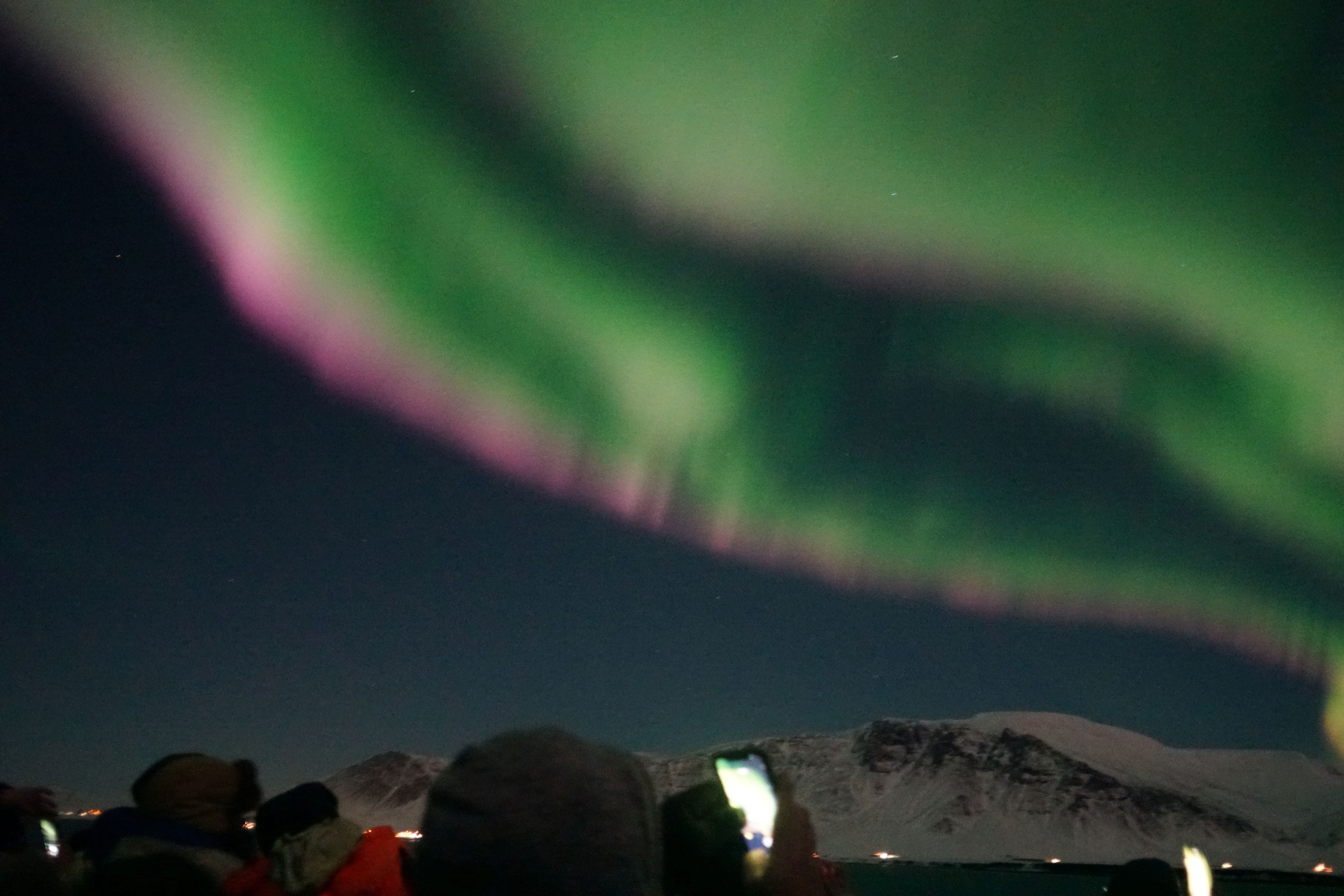 Spectacular Northern Lights display viewed from a Reykjavík boat trip