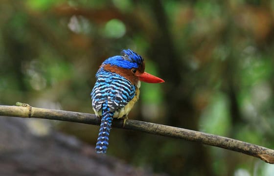 Pala U Waterfall in Kaeng Krachan, Hua Hin