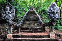 Private Battambang Full-Day Tuk-Tuk Tour with Bamboo Train & Bat Cave 9