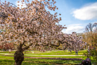 Stroll in the Jardin des Plantes (Botanical Garden) 3