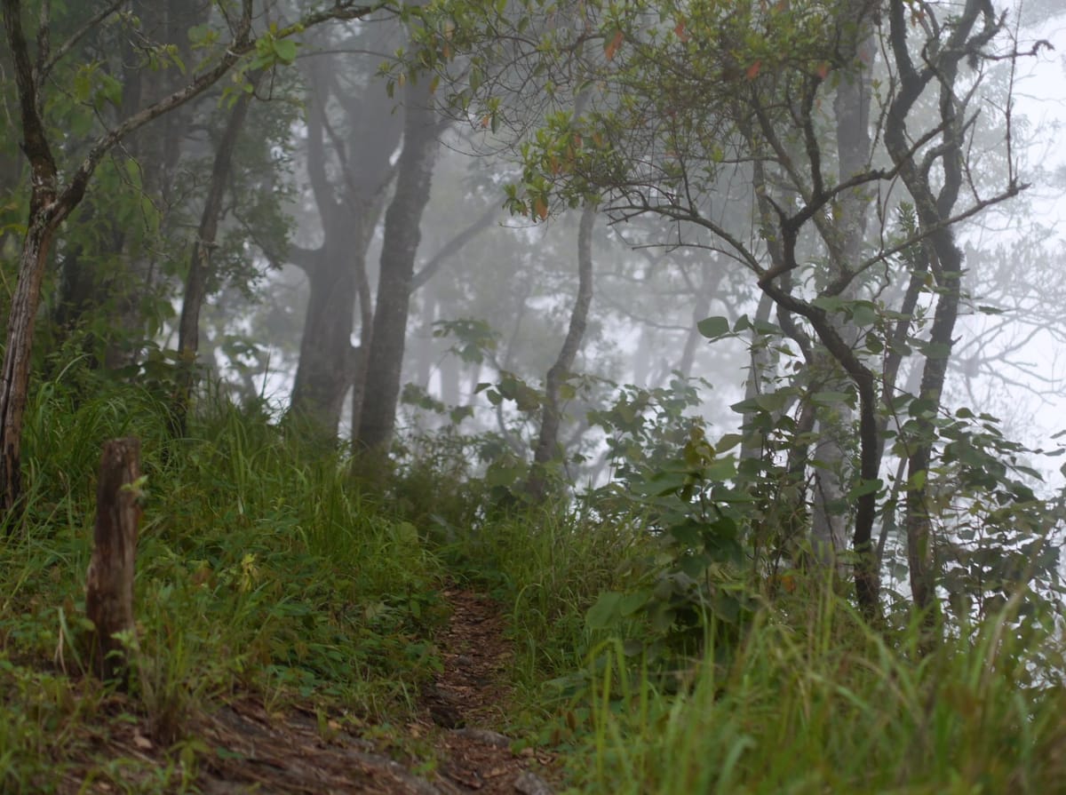 Chiang mai Suthep National Park Leisure Hiking & Mountain Biking