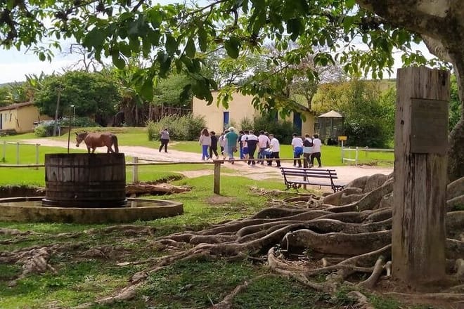 Coffee Farm Sao Paulo In Countryside – The Rural Charms of Brazil – Private 3