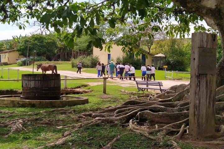 Coffee Farm Sao Paulo In Countryside – The Rural Charms of Brazil – Private 3