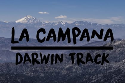 Private Full Day La Campana Hill Trekking Tour from Santiago